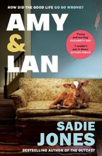 Book Cover for Amy and Lan by Sadie Jones