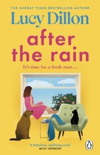 Book Cover for After the Rain by Lucy Dillon