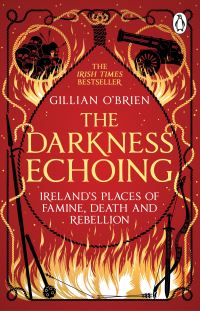 Book Cover for The Darkness Echoing by Dr Gillian OBrien