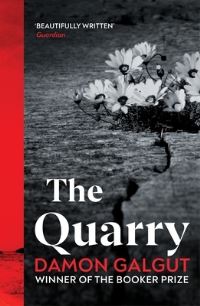 Book Cover for The Quarry by Damon Galgut