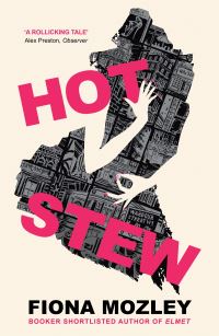 Book Cover for Hot Stew by Fiona Mozley