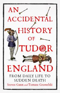 Book Cover for An Accidental History of Tudor England by Steven Gunn, Tomasz W Gromelski