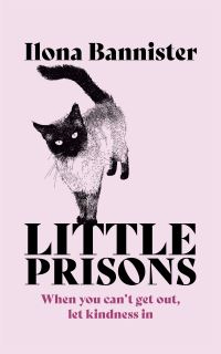 Book Cover for Little Prisons by Ilona Bannister