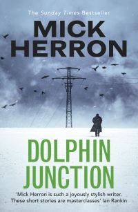 Book Cover for Dolphin Junction by Mick Herron