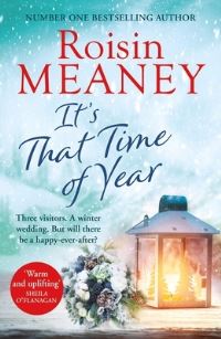 Book Cover for It's That Time of Year by Roisin Meaney