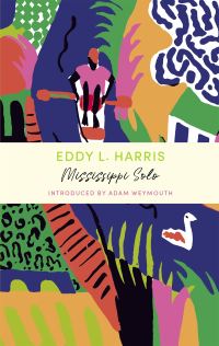 Book Cover for Mississippi Solo by Eddy L Harris