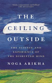 Book Cover for The Ceiling Outside by Noga Arikha