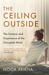 Book Cover for The Ceiling Outside by Noga Arikha