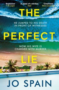 Book Cover for The Perfect Lie by Jo Spain
