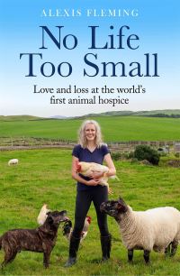 Book Cover for No Life Too Small by Alexis Fleming