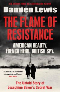 Book Cover for The Flame of Resistance by Damien Lewis