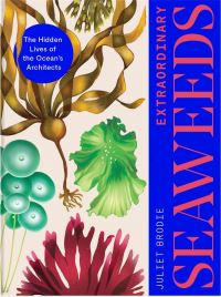 Book Cover for Extraordinary Seaweeds by Juliet Brodie