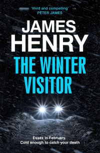 Book Cover for The Winter Visitor by James Henry