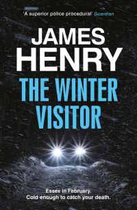 Book Cover for The Winter Visitor by James Henry