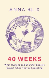 Book Cover for 40 Weeks by Anna Blix