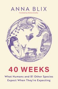 Book Cover for 40 Weeks by Anna Blix