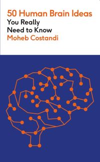 Book Cover for 50 Human Brain Ideas You Really Need to Know by Moheb Costandi