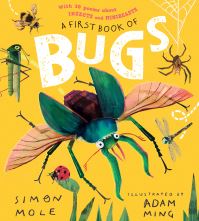 Book Cover for A First Book of Bugs by Simon Mole