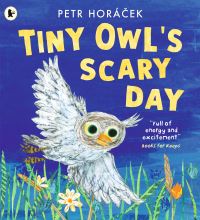 Book Cover for Tiny Owl's Scary Day by Petr Horácek