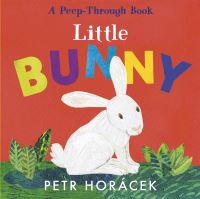 Book Cover for Little Bunny by Petr Horácek