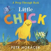 Book Cover for Little Chick by Petr Horácek