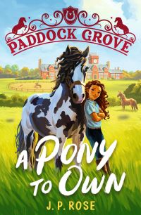 Book Cover for A Pony to Own by J P Rose