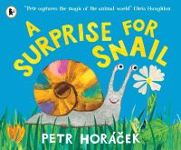 Book Cover for A Surprise for Snail by Petr Horácek