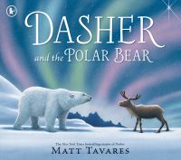 Book Cover for Dasher and the Polar Bear by Matt Tavares