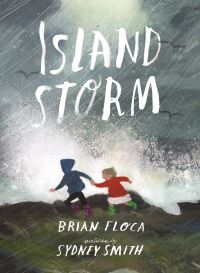 Book Cover for Island Storm by Brian Floca