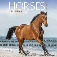 Book Cover for Daniel O'Donnell Slim Calendar 2025 by Carousel Calendars
