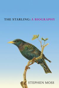 Book Cover for The Starling by Stephen Moss