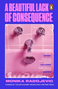 Book Cover for A Beautiful Lack of Consequence by Monika Radojevic
