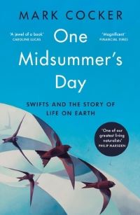 Book Cover for One Midsummer's Day by Mark Cocker