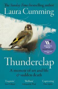 Book Cover for Thunderclap by Laura Cumming