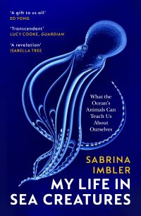 Book Cover for My Life in Sea Creatures by Sabrina Imbler