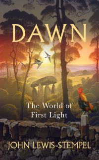 Book Cover for Dawn by John LewisStempel
