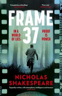 Book Cover for Frame 37 by Nicholas Shakespeare