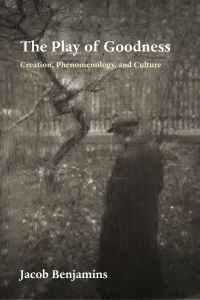 Book Cover for The Play of Goodness by Jacob Benjamins