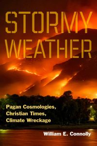 Book Cover for Stormy Weather by William E Connolly