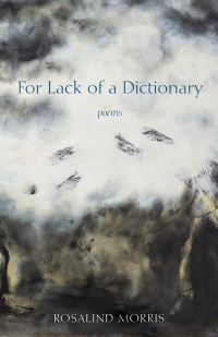 Book Cover for For Lack of a Dictionary by Rosalind C Morris
