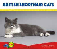 Book Cover for British Shorthair Cats by Katie Lajiness