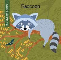 Book Cover for Raccoon by Virginia LohHagan