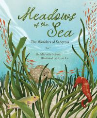 Book Cover for Meadows of the Sea by Michelle Schaub