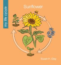 Book Cover for Sunflower by Susan H Gray