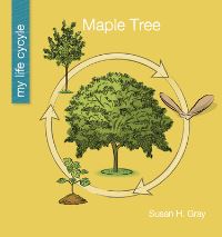 Book Cover for Maple Tree by Susan H Gray