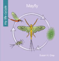 Book Cover for Mayfly by Susan H Gray