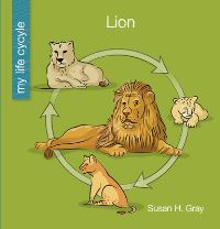 Book Cover for Lion by Susan H Gray