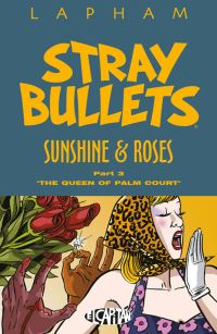Book Cover for Stray Bullets. Part Three 