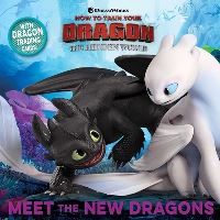 Book Cover for Meet the New Dragons by Maggie Testa