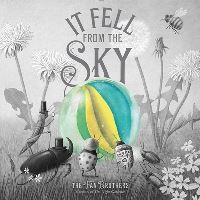 Book Cover for It Fell from the Sky by Terry Fan, Eric Fan